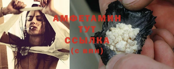 ECSTASY Горняк
