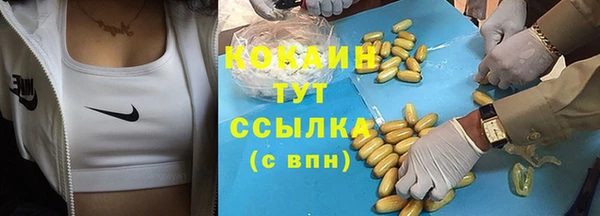 PSILOCYBIN Горно-Алтайск