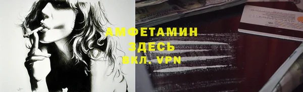 ECSTASY Горняк