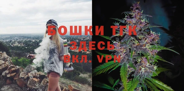 ECSTASY Горняк