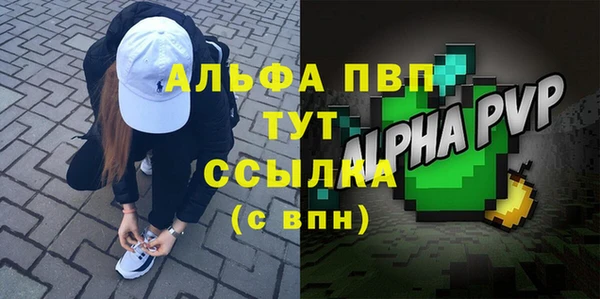 ECSTASY Горняк
