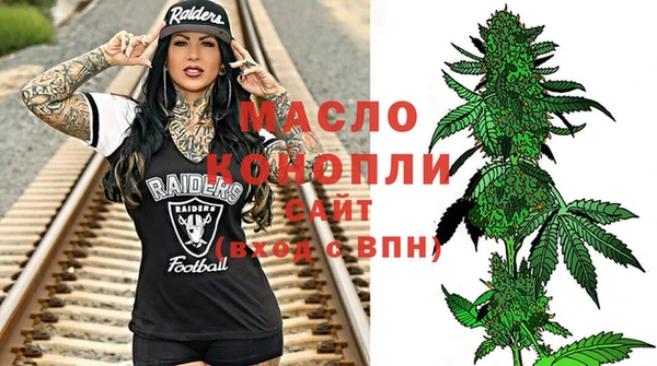 ECSTASY Горняк