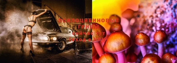 ECSTASY Горняк
