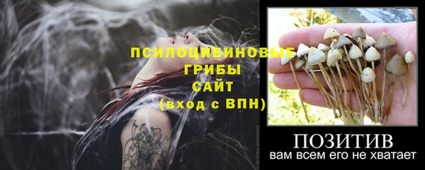 кокаин колумбия Гусев