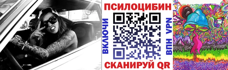 Псилоцибиновые грибы Cubensis Аткарск